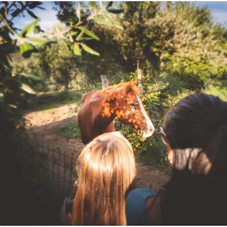 Agroturismo Costa Etrusca