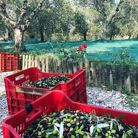 Costa Etrusca Agroturismo *