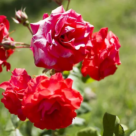 Costa Etrusca Farm stay San Vincenzo