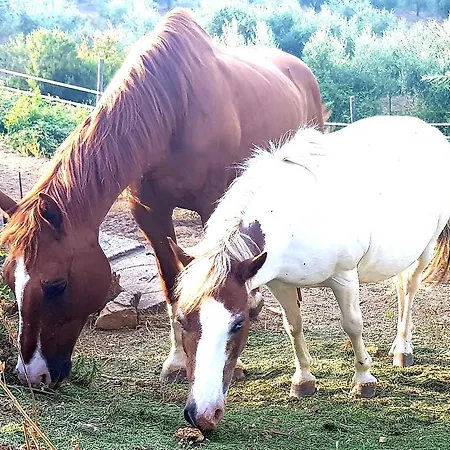 Alloggio per agriturismo Costa Etrusca