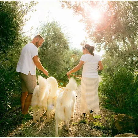 Costa Etrusca Gospodarstwo agroturystyczne San Vincenzo
