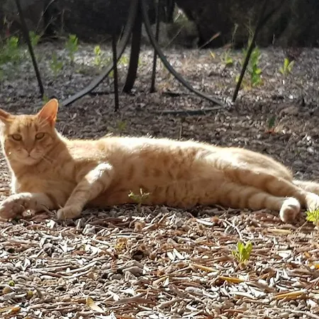 Costa Etrusca Gospodarstwo agroturystyczne